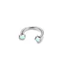 Anillo Súper Brillante de Herradura Labio Uña F136 Aleación de Titanio Joyería de Perforación Nicho Gama Alta Uña del Hélix Óseo Punto Venta al por Mayor