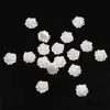 Joyería de Camelia de Flash Nuevo Transfronteriza Cuentas de Moda de Alto Valor Lentejuelas de Resina Mariposa Joyería para Uñas Accesorios