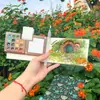 Caixa de Madeira para Tinta Aquarela Embalagem Portátil Conjunto de Esboço para Viagem Estudante de Arte Pintura Especial Tinta Sólida Caixa Pequena