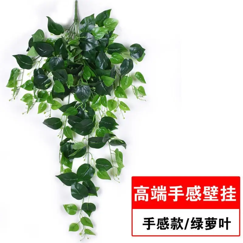 QQ图片20211003163638