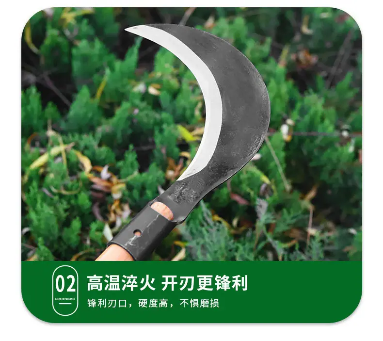 详情页_10.jpg