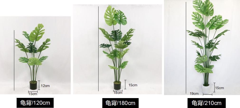 6d7dc1c1ab3235ccc7edfa52c998ba