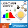 6-60W espectro completo COB lámpara perla planta luz de relleno fotografía luz de relleno simulación luz solar alta potencia cobLED perla de lámpara