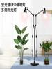 Plantas aquáticas de espectro completo preenchem lâmpada led tanque de peixes explosão algas crescimento imitação sol flores internas musgo parede