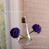 Vaso para Plantas Suculentas Acessórios de Decoração para Casa Ornamentos Vasos de Vidro Pendurados em Forma de Bulbo Vaso Hidropônico Vaso Bulbo