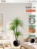 Plantas Verdes Artificiais de Alta Qualidade para Decoração de Sala de Estar, Planta Realista Falsa de Figueira-da-Índia Preta para Decoração de Sala de Transmissão ao Vivo