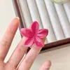 Presilha Grande de Cabelo Flor de Frangipani Venda Quente Transfronteiriça Grampo de Cabelo Grampo de Cabelo Grampo de Cabelo Feminino Flor Grampo de Tubarão Foto de Praia