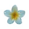 Presilha de Flor Bauhinia Transfronteiriça Grande Volume de Cabelo Presilha de Cabelo Rabo de Cavalo Alto Presilha Tubarão Acessório de Cabelo Acessório de Cabeça Conjunto Atacado Resina
