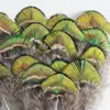 Venda Direta de Fábrica de Quase 100 Tipos de Acessórios Naturais de Penas Pequenas para Joias DIY, Acessórios de Cabeça, Broches, Chapéus, Materiais de Decoração para Artesanato