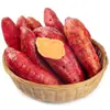 Batatas-doces frescas 4,5 kg caixa inteira de batatas-doces vermelhas cultivadas na fazenda, vegetais recém-colhidos, batatas-doces, batatas-castanha, inhames