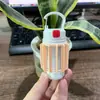 Luz Externa Quanxin Luz de Camping Lanterna Lâmpada de Iluminação Externa LED Bateria de Longa Duração Barraca Luz de Feira Noturna