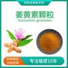 Grânulos de curcumina 95% curcumina extrato de cúrcuma USP malha 20-40 Grânulos de curcumina cúrcuma 100g