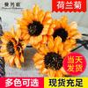 Arte de Crisantemo Holandés Hecho a Mano Materiales de Flores Secas, Plantas, Flores Artificiales Eternas, Artículos Decorativos, Accesorios para Fotos, Flores al por Mayor