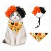 Conjunto de Disfraz de Vaquero Occidental para Gato Peludo Peluca Sombrero Pañuelo Fiesta Divertida Procesamiento y Personalización