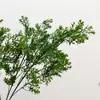 Ramas artificiales de nomeolvides, césped artificial multicolor, follaje decorativo para maquetas y arreglos florales de casas de huéspedes, plantas verdes artificiales para decoración de proyectos