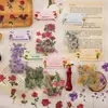 Adesivos de plantas e flores PET para journaling, materiais decorativos para cenários DIY feitos à mão, adesivos de journaling transparentes autoadesivos