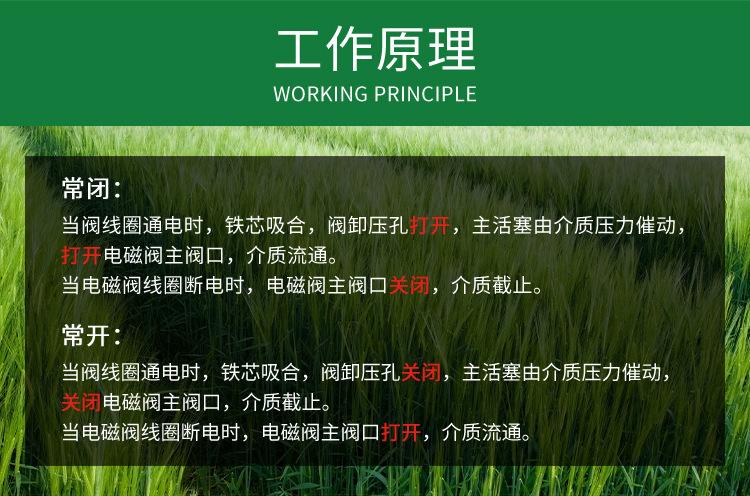 高压电磁阀_02.jpg
