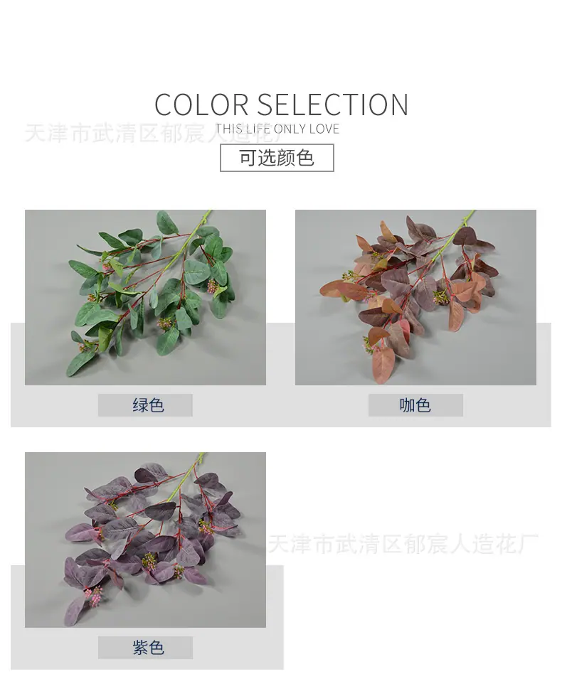 详情_02.jpg