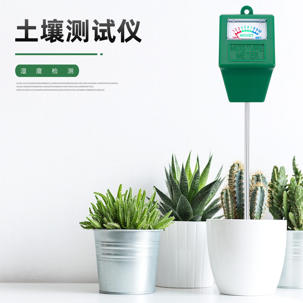 详情 (1).jpg