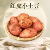 Papas pequeñas de piel roja, rosadas y cerosas de Yunnan, disponibles para entrega 3/5/ 4.5 kg de papas medianas de pulpa amarilla, verduras frescas de temporada