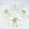 Guirlanda de Flores Bana Simulada de 17cm Material Chapéu de Palha Acessórios de Decoração para Casa Estilo Antigo Dinastia Han Foto Decorações Florais