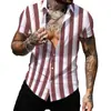 Estación independiente transfronteriza verano nuevo camisa con estampado digital 3D moda camisa de manga corta a rayas con solapa fabricante de origen