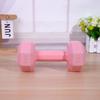 Mancuernas Pequeñas para Mujeres, Equipo de Fitness para Uso en Casa, Recubiertas de Goma para Niños, Pesa Rusa para Entrenamiento de Músculos del Brazo para Hombres, Mancuernas de Yoga, Juego de un Par