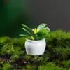 Planta en maceta de simulación al por mayor modelo de planta mini paisajismo de jardín terminado decoración de micro paisajismo en stock suministro