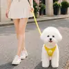 Correa para Perros Pequeños y Medianos, Correa para Perro Teddy Pomerania Bichón, Arnés Transpirable de Verano Estilo Chaleco, Cadena para Caminar