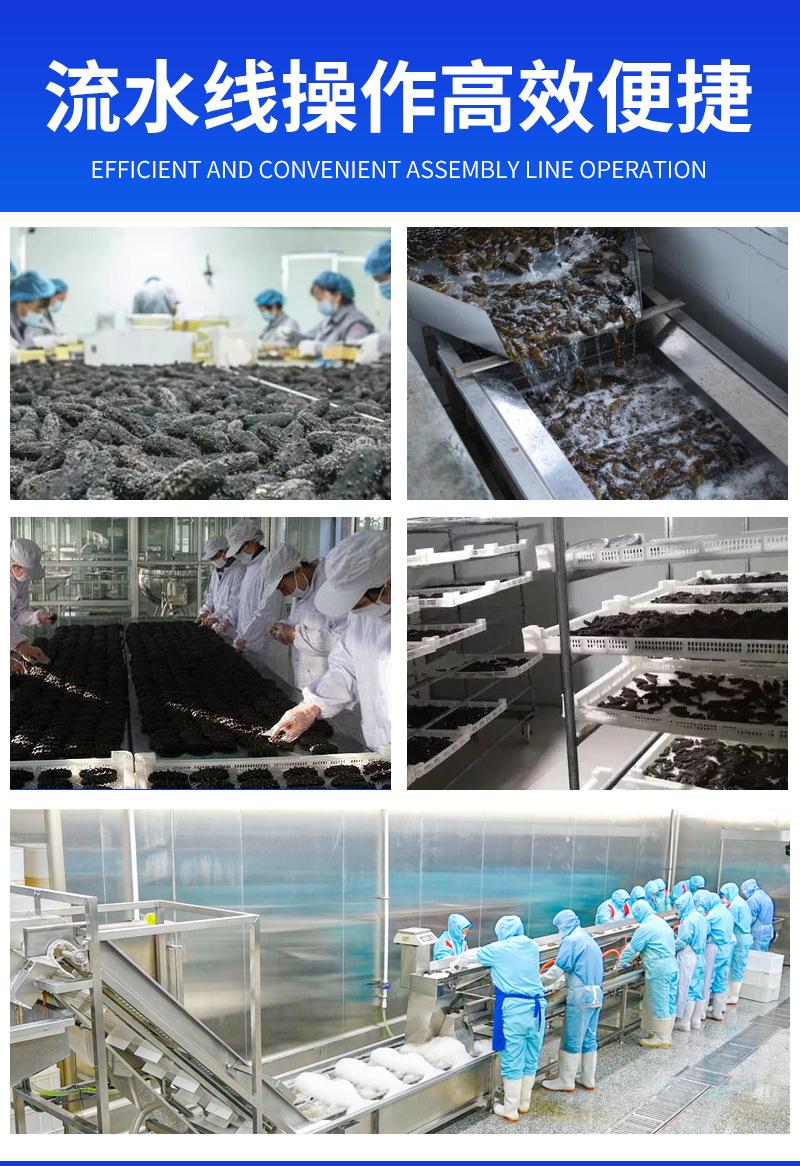 鲜活海参加工成套设备_04.jpg
