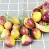 Pimentas de Sete Cores de Guangxi Frescas 2,5kg Pimentas Frescas, Pimentas Coloridas, Pimentas em Conserva, Pimentas Lanterna Pequena, Pimentas de Arroz, Frete Grátis Especialidade