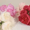Ramo de Flores Artificiales de Peonía de 6 Ramas, Flores Artificiales de Seda de Alta Calidad, Flores Falsas para Boda y Decoración Suave de Hotel, Decoración de Sala de Estar, Arte Floral al por Mayor
