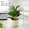 Desktop de Escritório Suculentas Artificiais Plantas Verdes Internas em Vasos Cerâmica Pequenos Ornamentos Plantas Artificiais Estilo Ins Flor Artificial Bonsai