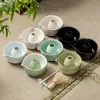 Juego de Cerámica para Tazón de Matcha Estilo Japonés para Preparar Matcha, Batidor de Bambú, Pincel de Matcha, 100 Púas, Caja de Regalo Ceremonia del Té Dinastía Song
