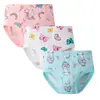 Ropa Interior para Niños Amigable con la Piel Marca Privada, Duradera Para Tu