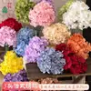 Flor de Simulación Transfronteriza 5 Cabezas Hortensia Boda Francesa Hortensia Grande Bola de Flores Decorativa Tienda Ventana Apertura Festival de Bodas Flor Artificial