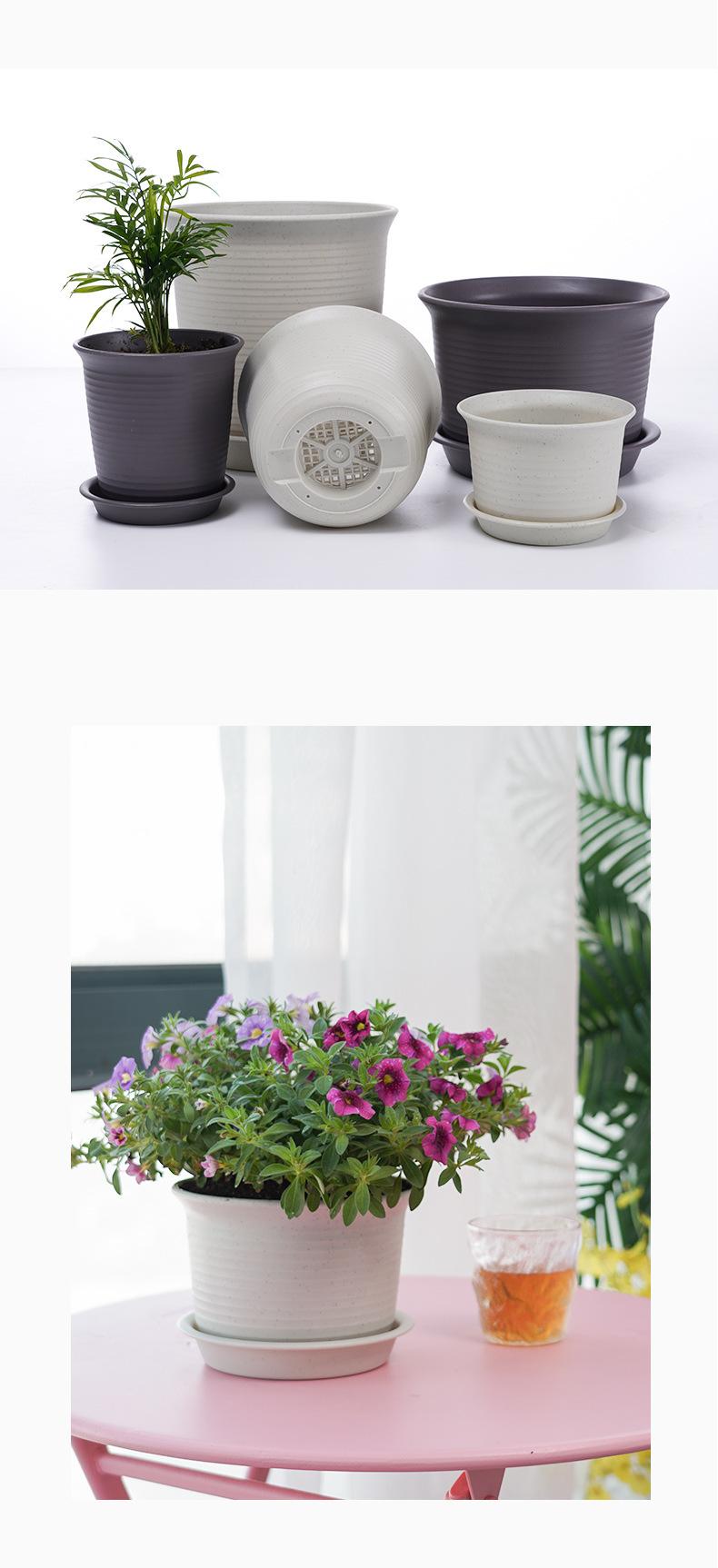 爱丽丝花盆_05.jpg