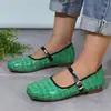Comercio Electrónico Transfronterizo 2026 Primavera/Otoño Nuevos Zapatos de Cuero Mary Jane Retro Suela Plana Hebilla Única Zapatos para Mujer Zapatos Individuales de Boca Baja Texturizados