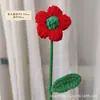 Produto Acabado Transfronteiriço Girassol Artesanal Espinheiro Candied Coelho Buquê Fio Crochê Presente Criativo para Temporada de Formatura