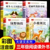 Libros Oficiales de El Mago de Oz: Lectura Extracurricular Imprescindible para Tercer Grado, Set Completo de 4 Libros con Notación Fonética, Lista de Libros Bambi