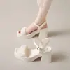 Sandalias de Tacón Alto para Mujer 2025 Verano Nuevas Versátiles Tacón Grueso Mary Jane Estilo de Hada Zapatos de Moda para Combinar con Faldas