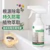 Removedor de Mofo de Parede, Limpador de Manchas de Mofo em Paredes Brancas e Papel de Parede, Gel Spray Removedor de Mofo Doméstico, Remoção de Mofo e Bactérias