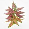 Floricultura transfronteiriça Simulação Verde Planta Decoração de Casa Cor Taro Folha Mão-sensação Rosa Mori Folha Falsa Guanyinlian Salian
