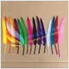 Pluma Grande de Pluma de Ganso Pluma de Pájaro Jorobado Se Puede Imprimir con Logo Fabricante 14 Colores Bolígrafo Listo para Usar