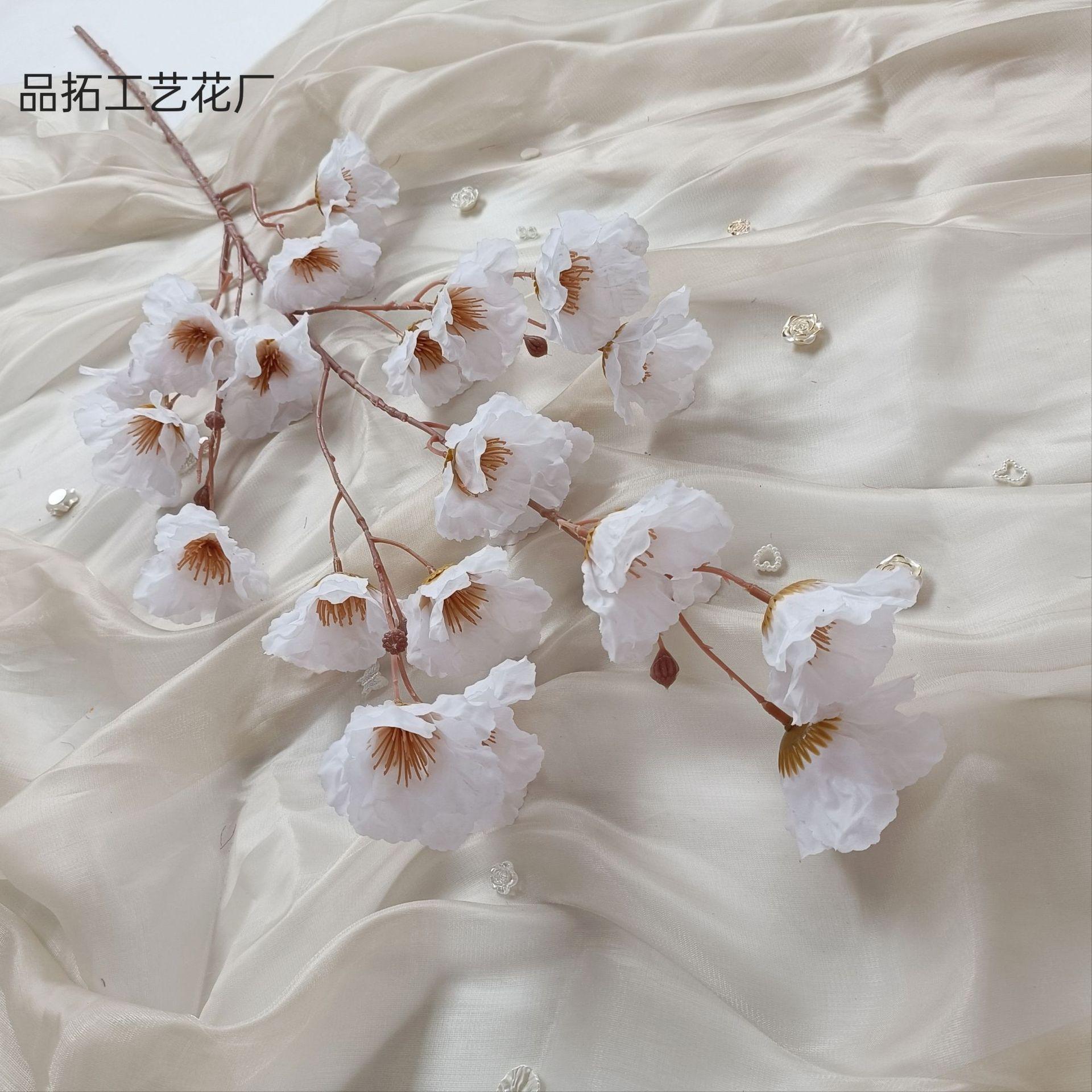 450ab96cf3550ec460db268fc143bf