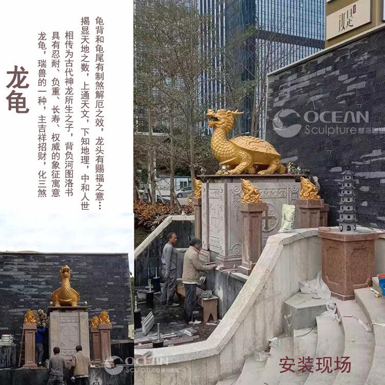 龙龟3