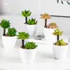 Plantas Verdes Simples Suculentas de Plástico em Vaso Ornamento para Sala de Estar Mesa de Jantar Flores Artificiais Decorações Ornamento Flores Biomórficas