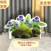 Tablero KT escenario escena de bosque árbol grande utilería de actuación casa maqueta de sketch infantil tablero de fondo