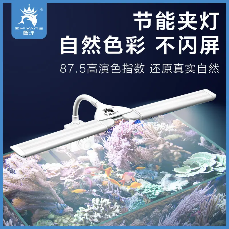 主图海水
