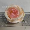 Día de San Valentín simulación rosa cabeza de flor rizada corsage cabeza de flor de seda arreglo floral de boda flor de rosa venta al por mayor